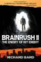 [Brainrush 02] • The Enemy of My Enemy